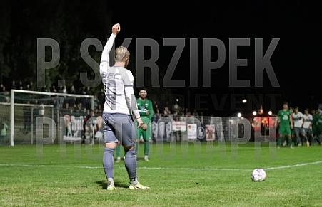 2.Runde AOK-Landespokal Füchse Berlin - BFC Dynamo