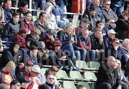 11.Spieltag BFC Dynamo - VfB Auerbach, 11.Spieltag BFC Dynamo - VfB Auerbach,