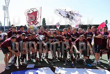 38.Spieltag VSG Altglienicke - BFC Dynamo, 38.Spieltag VSG Altglienicke - BFC Dynamo,