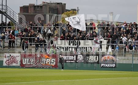 8.Spieltag BFC Dynamo - Tennis Borussia Berlin,