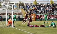 31.Spieltag BFC Dynamo - BSG Chemie Leipzig
