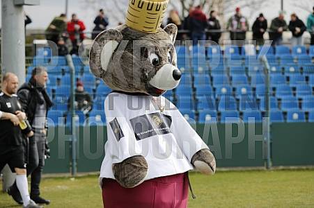 26.Spieltag BFC Dynamo - VFC Plauen