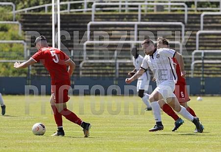24.Spieltag BFC Dynamo U19 - Hallescher FC U19,