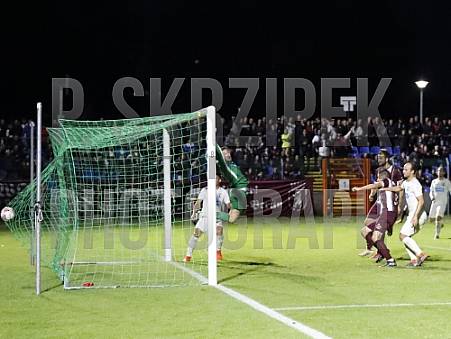 8.Spieltag BFC Dynamo - SV Lichtenberg 47,