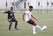 15.Spieltag BFC Dynamo U19 - Berliner SC U19