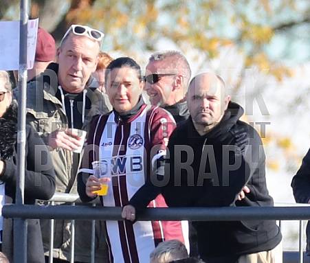 15.Spieltag BFC Dynamo - VfB Auerbach,