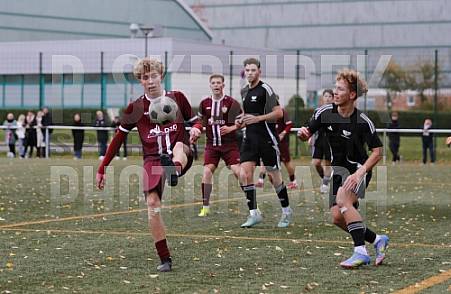 9.Spieltag BFC Dynamo U19 - BFC Preussen U19