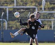 8.Spieltag BFC Dynamo U19 - FC Energie Cottbus U19 ,