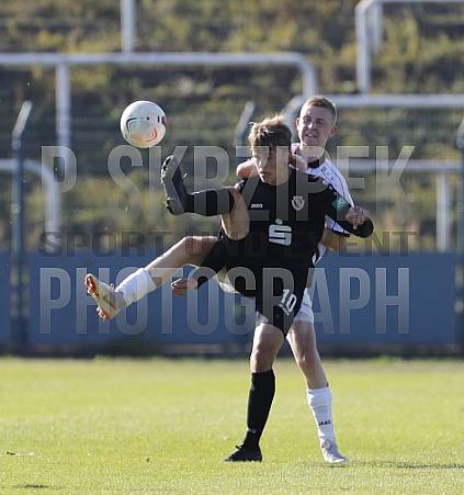 8.Spieltag BFC Dynamo U19 - FC Energie Cottbus U19 ,
