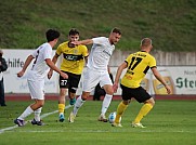 9.Spieltag VFC Plauen - BFC Dynamo