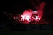 20.Spieltag BFC Dynamo - Chemnitzer FC,