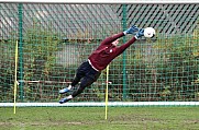 Training vom 23.11.2023 BFC Dynamo