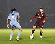 12.Spieltag BFC Dynamo - FC Viktoria 1889 Berlin