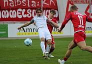28. Spieltag FSV Zwickau - BFC Dynamo