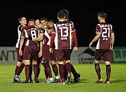 24.Spieltag BFC Dynamo - ZFC Meuselwitz,