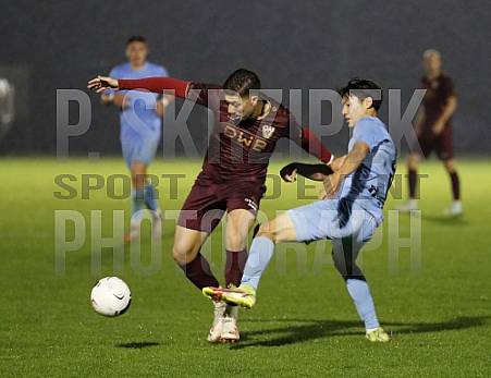 12.Spieltag BFC Dynamo - FC Viktoria 1889 Berlin