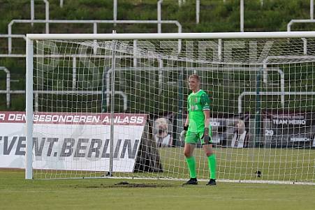BFC Dynamo - BFC Dynamo Allstars Team,