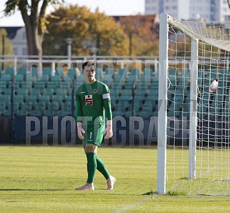 8.Spieltag BFC Dynamo U19 - FC Energie Cottbus U19 ,