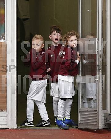 Halbfinale Runde AOK Landespokal , BFC Dynamo - FC Viktoria 1889 Berlin ,