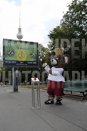 Werbung mit Teddy für die 1.Runde im DFB-Pokal