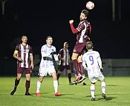 28.Spieltag BFC Dynamo - Hertha BSC II,