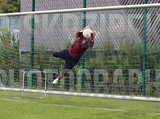 Training vom 24.10.2023 BFC Dynamo