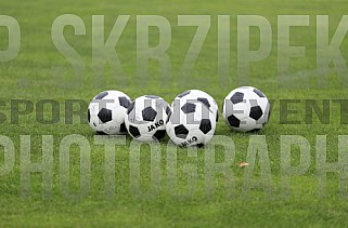 Training vom 12.07.2024 BFC Dynamo