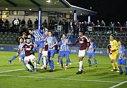 14.Spieltag Hertha BSC II - BFC Dynamo