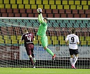 8.Spieltag BFC Dynamo - FSV Budissa Bautzen