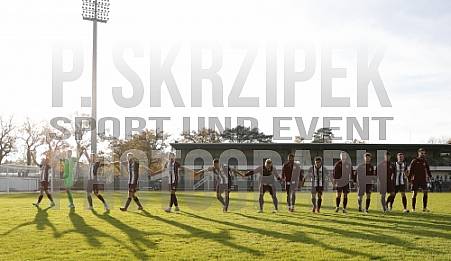 16.Spieltag Tennis Borussia Berlin - BFC Dynamo,