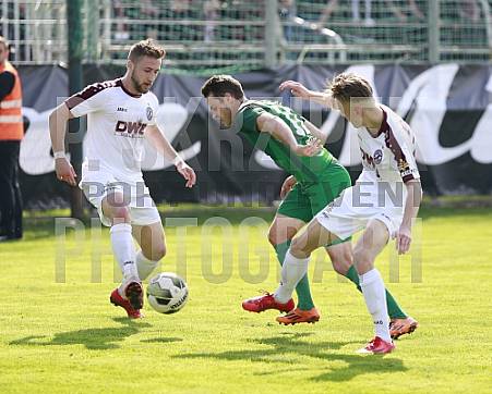 29.Spieltag BSG Chemie Leipzig - BFC Dynamo