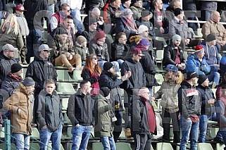 22.Spieltag BFC Dynamo - FSV Budissa Bautzen ,