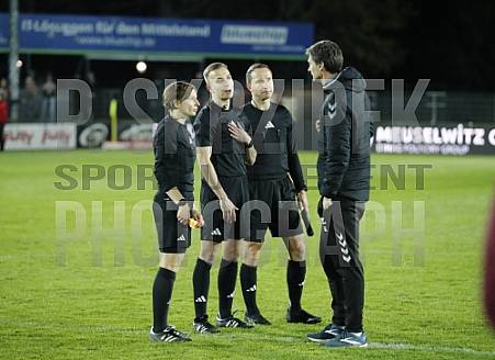 21.Spieltag ZFC Meuselwitz - BFC Dynamo