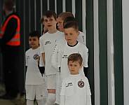 35.Spieltag BFC Dynamo - Tennis Borussia Berlin,