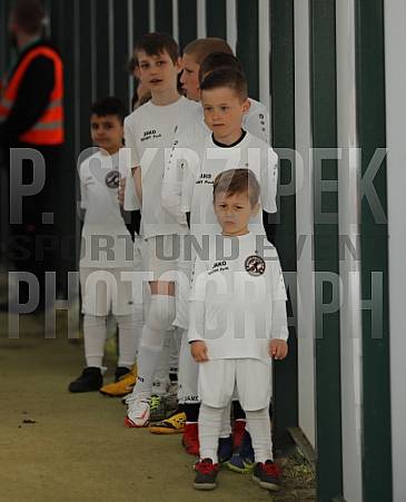 35.Spieltag BFC Dynamo - Tennis Borussia Berlin,