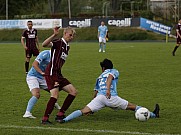 Halbfinale FC Viktoria 1889 - BFC Dynamo