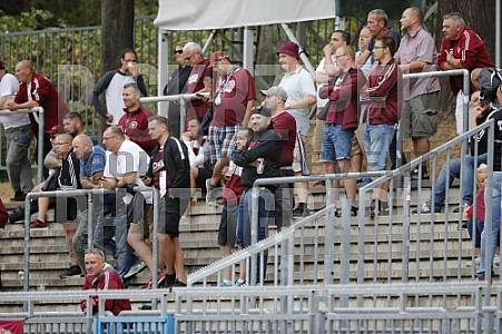 5.Spieltag FSV Budissa Bautzen - BFC Dynamo