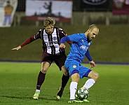 25.Spieltag SV Tasmania - BFC Dynamo,