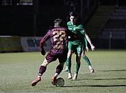 16.Spieltag BFC Dynamo - BSG Chemie Leipzig