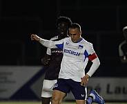 24.Spieltag BFC Dynamo - Hertha BSC II