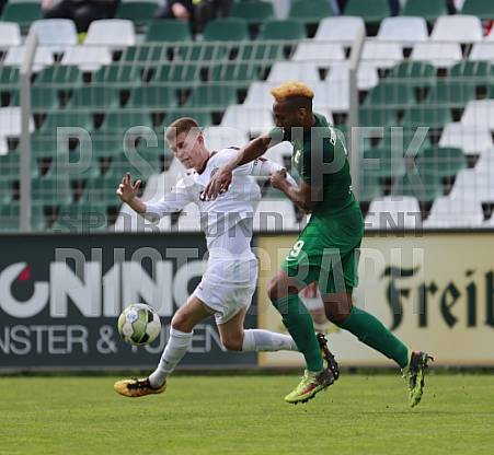 29.Spieltag BSG Chemie Leipzig - BFC Dynamo