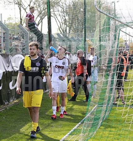 29.Spieltag BSG Chemie Leipzig - BFC Dynamo
