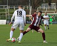 35.Spieltag BFC Dynamo - Tennis Borussia Berlin,