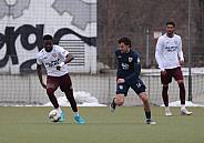 Testspiel SV Babelsberg 03 - BFC Dynamo