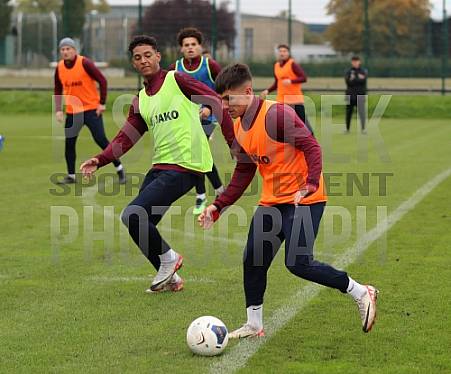 Training vom 24.10.2023 BFC Dynamo