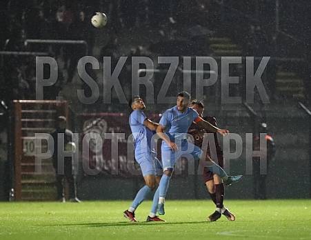 12.Spieltag BFC Dynamo - FC Viktoria 1889 Berlin