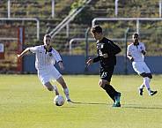 8.Spieltag BFC Dynamo U19 - FC Energie Cottbus U19 ,