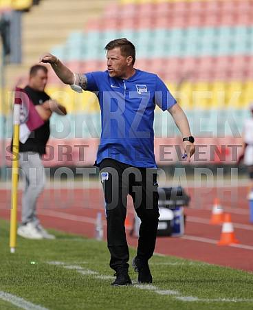 2.Spieltag BFC Dynamo - Hertha BSC II