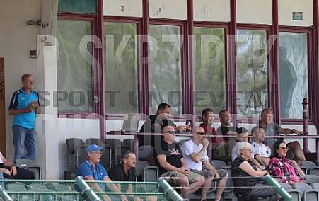 Testspiel BFC Dynamo - SV Sparta Lichtenberg