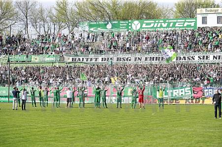 29.Spieltag BSG Chemie Leipzig - BFC Dynamo